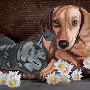 Алмазная мозаика ALVR-113 Собака и кот 30×20 cм