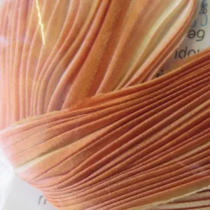 Шибори лента, 100%шёлк, цвет: оранжевo-бежевый (83), длинна 20см, ширина ~10-15см